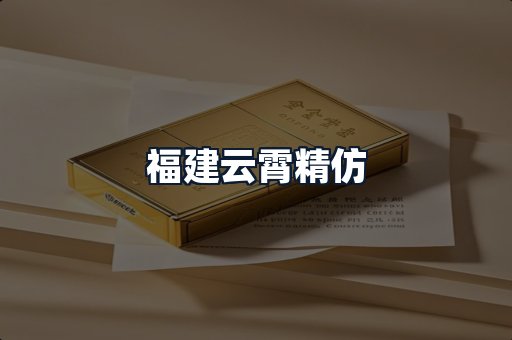 福建云霄精仿